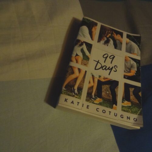 Review : 99 days, Katie Cotugno