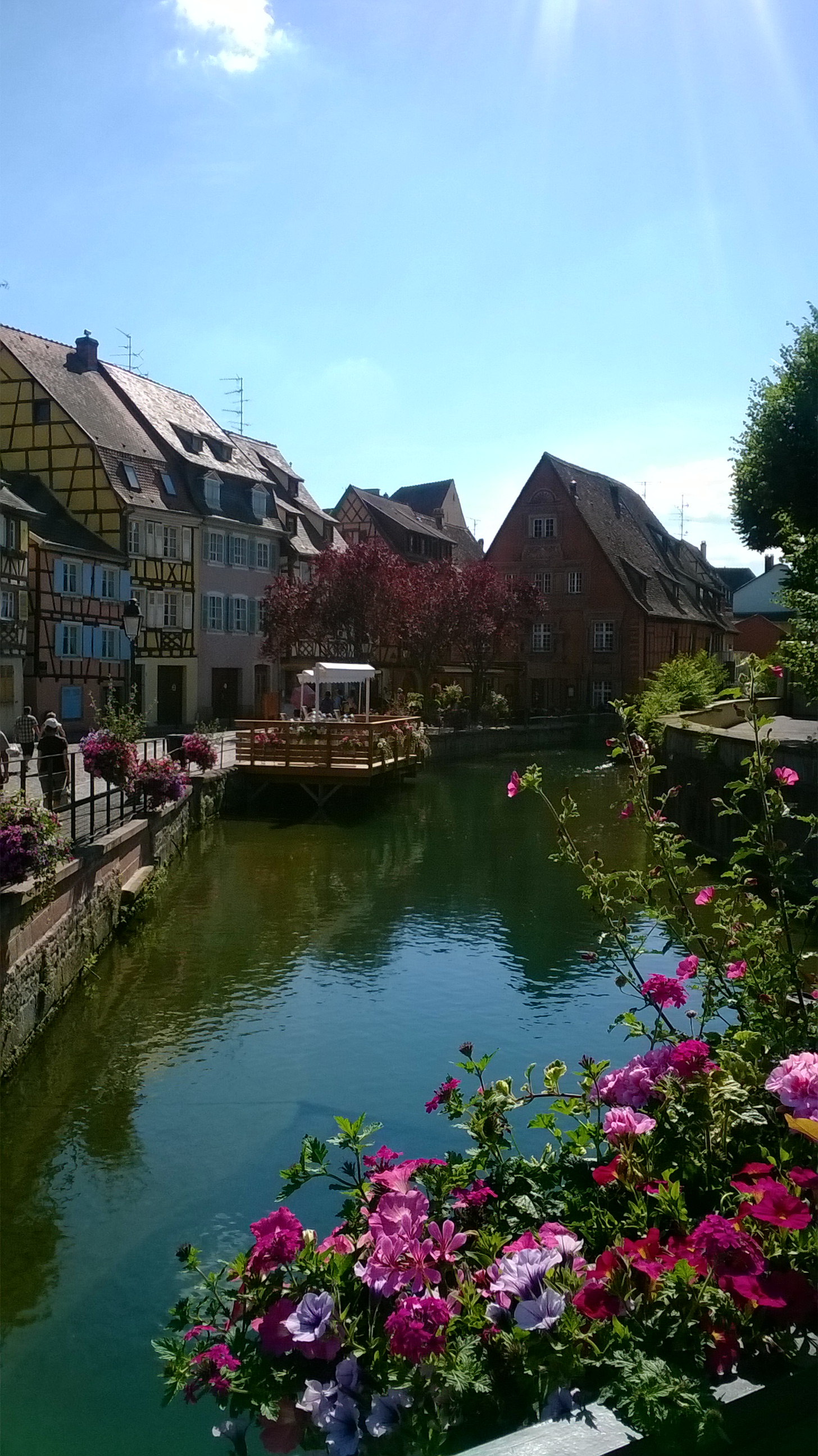 colmar