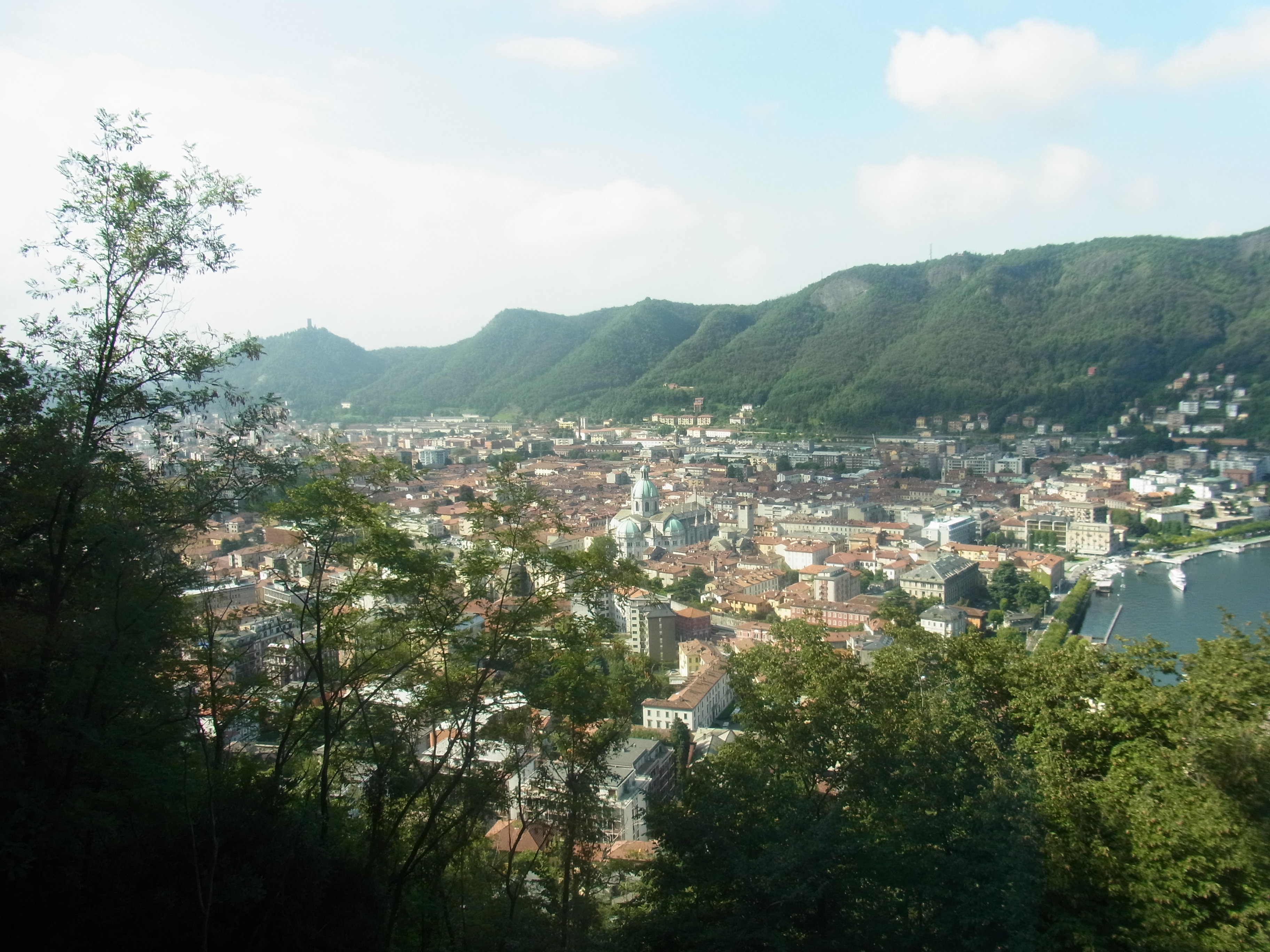 como view