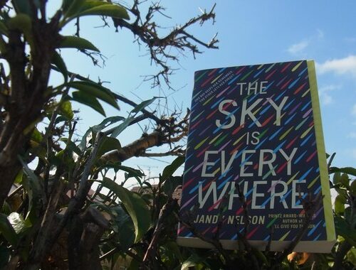 Review : The Sky is Everywhere, Jandy Nelson