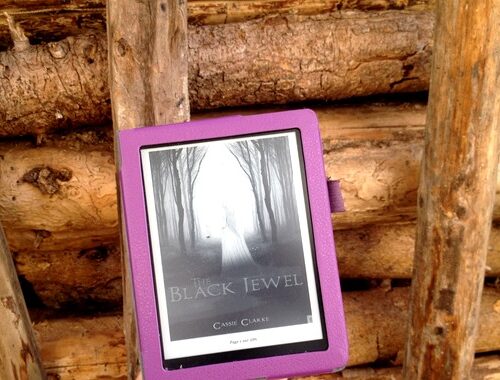 Review: The Black Jewel, Cassie Clarke