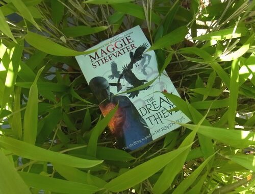 Review: The Dream Thieves, Maggie Stiefvater
