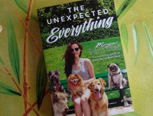 Review: The Unexpected Everything, Morgan Matson