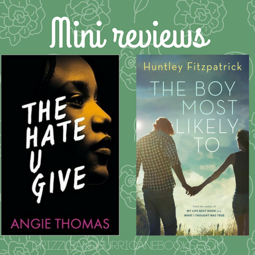 Mini Reviews: The Hate U Give, The Boy Most Likely To