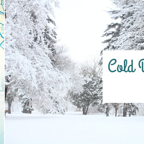 Bullet Point Review: Cold Day In The Sun, Sara Biren