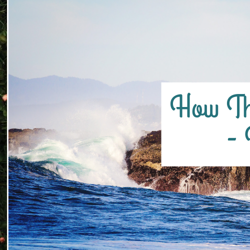 Review: How The Light Gets In, Katy Upperman