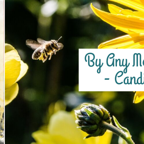 Review: By Any Means Necessary, Candice Montgomery
