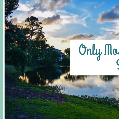 Review: Only Mostly Devastated, Sophie Gonzales