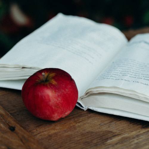 Top 10 YA retellings