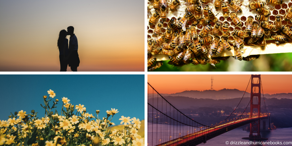 between you me and the honeybees aesthetic