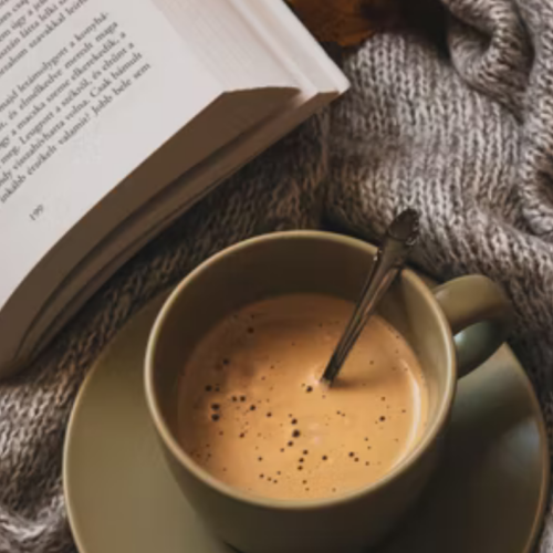 16 Exciting YA Books About Royalty (Fantasy & Contemporary) I Recommend