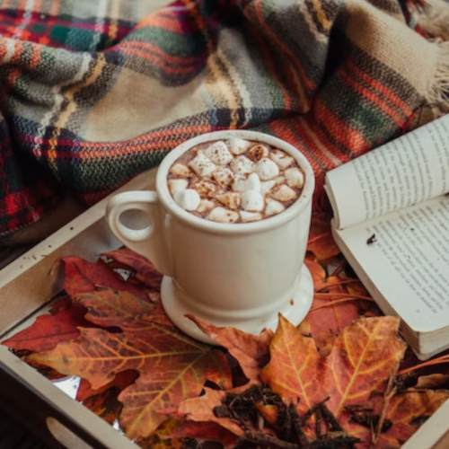 Pick a Fall Aesthetic & Get a YA Book Recommendation!