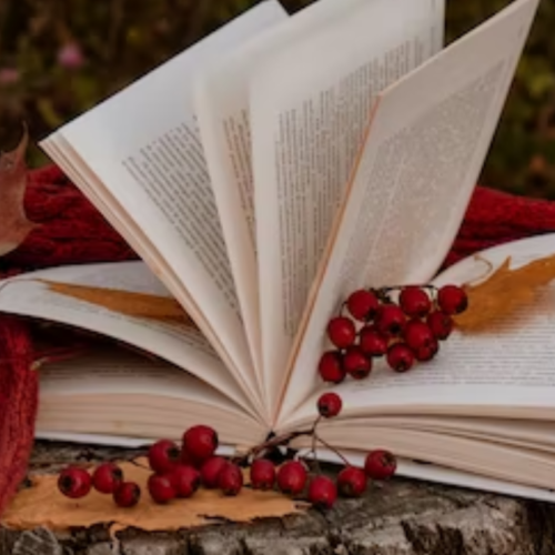 10 Books I Hope Will Be New Favorites in 2023