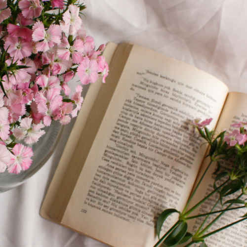 12 Great YA Books To Read Based On Your Favorite Season